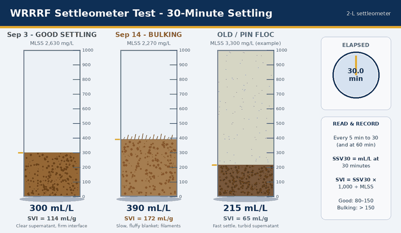Animated 30-minute settleometer test with three 2-liter settleometers side by side: WRRRF on September 3 with good settling (300 mL/L, SVI 114), WRRRF on September 14 while bulking (390 mL/L, SVI 172), and an old sludge with pin floc (215 mL/L, SVI 65 with a turbid supernatant). A timer counts the 30 minutes and a panel explains SVI = SSV30 x 1,000 / MLSS.