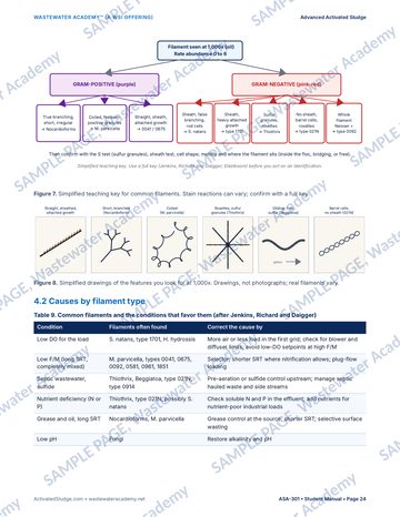 Sample manual page 24 from Chapter 4, Filaments and Foam in Depth: a simplified identification key that sorts filaments by Gram stain and key features, simplified drawings of common filaments at 1,000 times, and the start of a table linking each filament type to the conditions that favor it.
